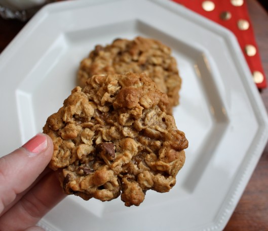 oatmeal cookie 2
