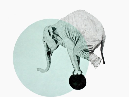 elephant on ball