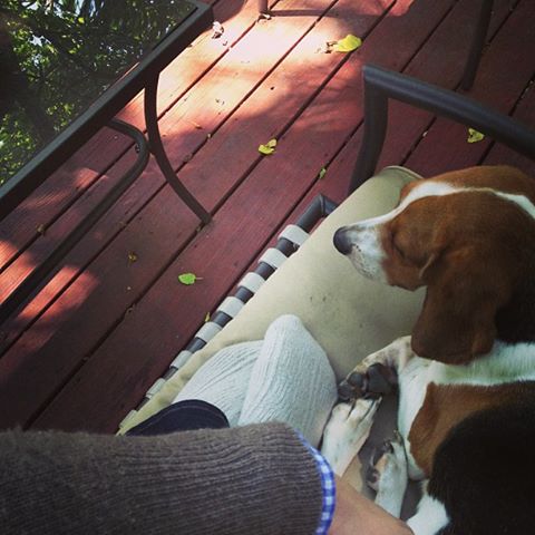 575144_483854605038052_449204725_n