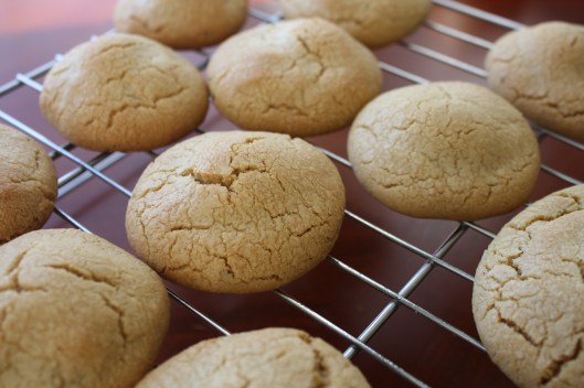 peanut butter cookies 1