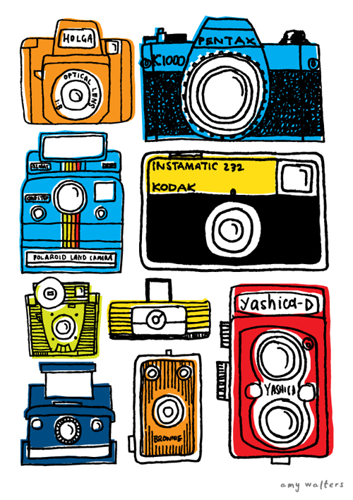 amywalters-cameras